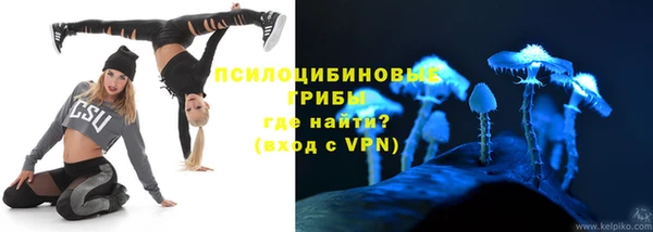 амф Елабуга