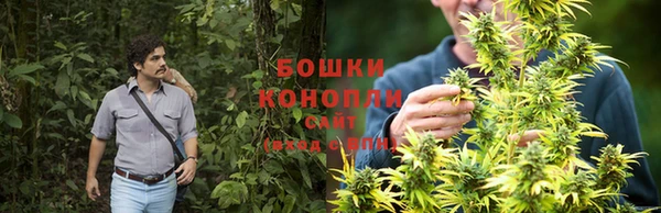 мескалин Елизово