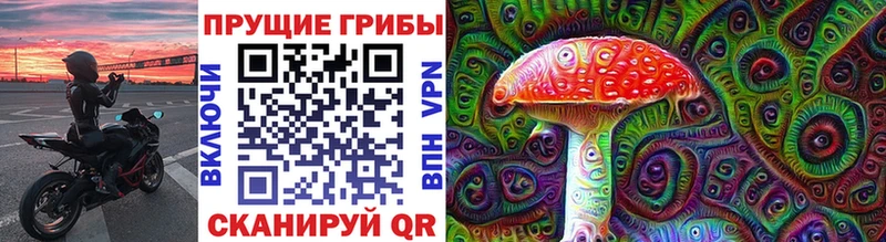 Псилоцибиновые грибы Psilocybe Саяногорск