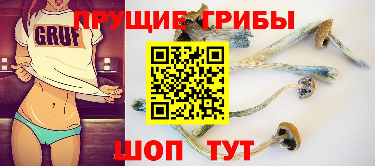 Саяногорск  Галлюциногенные грибы GOLDEN TEACHER  Вход с VPN 